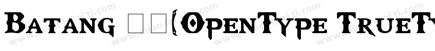 Batang 常规(OpenType TrueType) (Versi字体转换